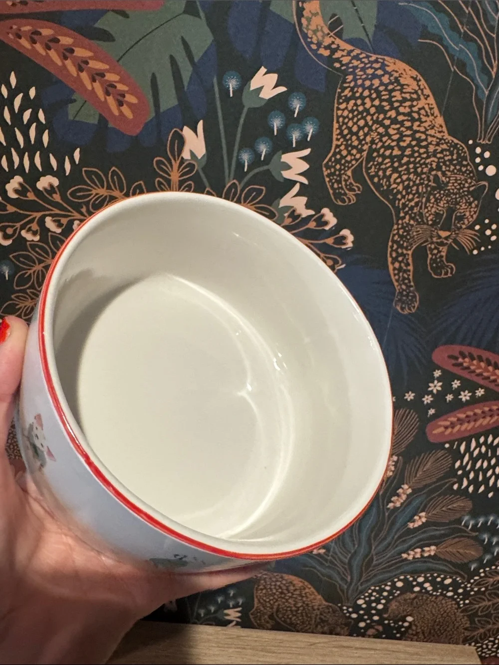 NWOT | Beth Briggs Holiday dog bowl